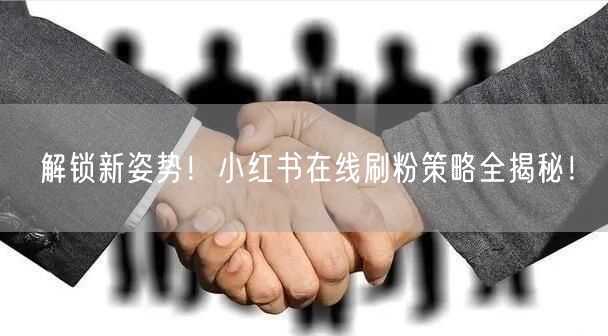 解锁新姿势!小红书在线刷粉策略全揭秘!