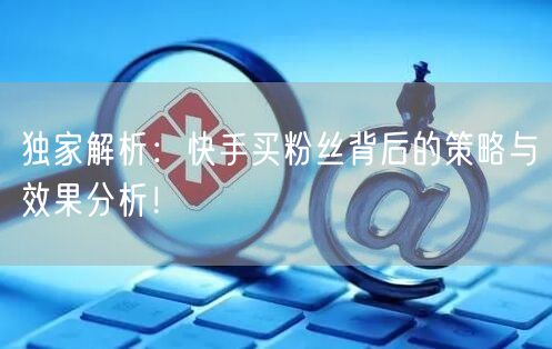 独家解析:快手买粉丝背后的策略与效果分析!