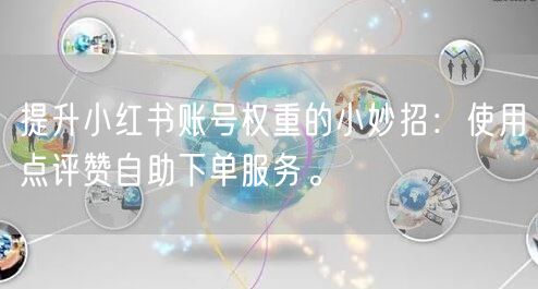 提升小红书账号权重的小妙招:使用点评赞自助下单服务。