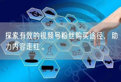 探索有效的视频号粉丝购买途径,助力内容走红。