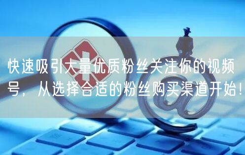 快速吸引大量优质粉丝关注你的视频号,从选择合适的粉丝购买渠道开始!