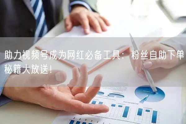 助力视频号成为网红必备工具:粉丝自助下单秘籍大放送!