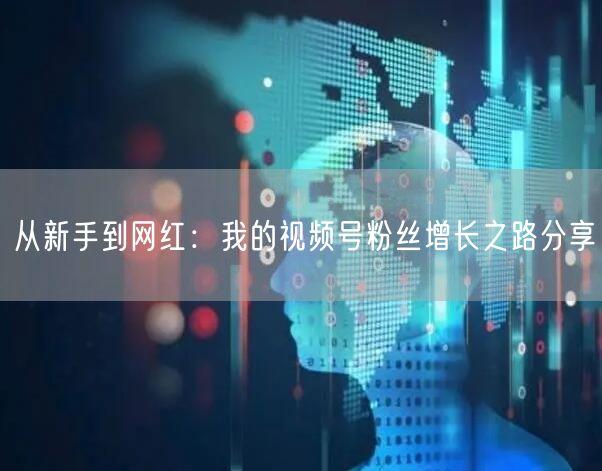 从新手到网红:我的视频号粉丝增长之路分享