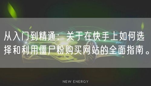 从入门到精通:关于在快手上如何选择和利用僵尸粉购买网站的全面指南。