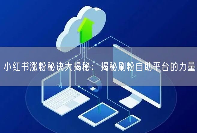 小红书涨粉秘诀大揭秘:揭秘刷粉自助平台的力量