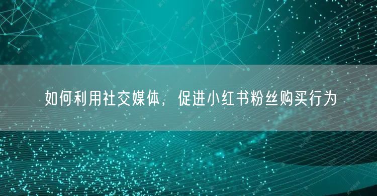 如何利用社交媒体,促进小红书粉丝购买行为