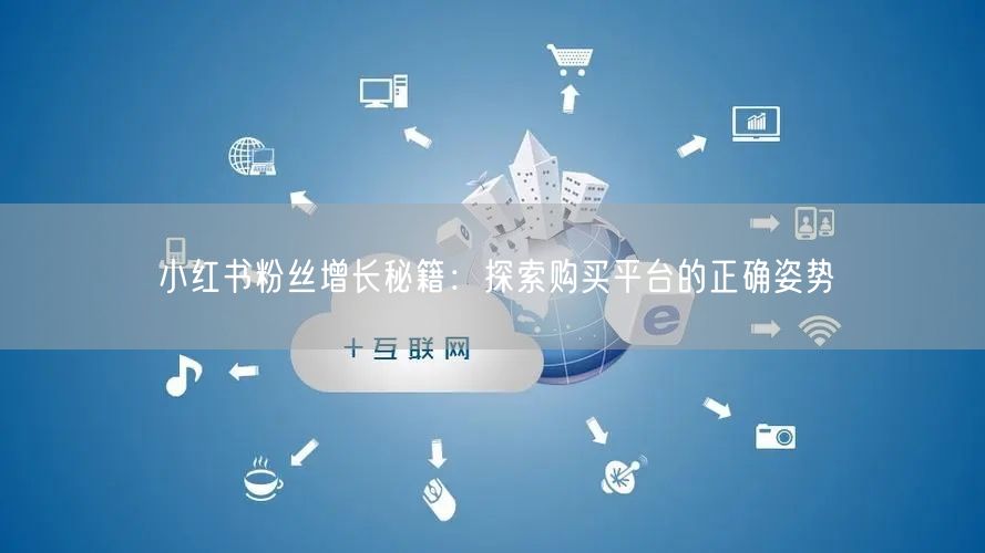 小红书粉丝增长秘籍:探索购买平台的正确姿势