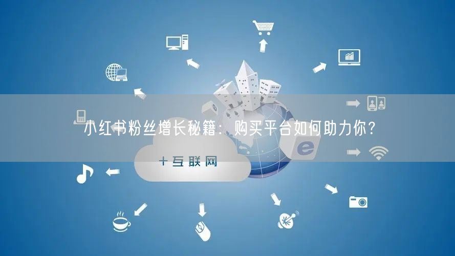 小红书粉丝增长秘籍：购买平台如何助力你？