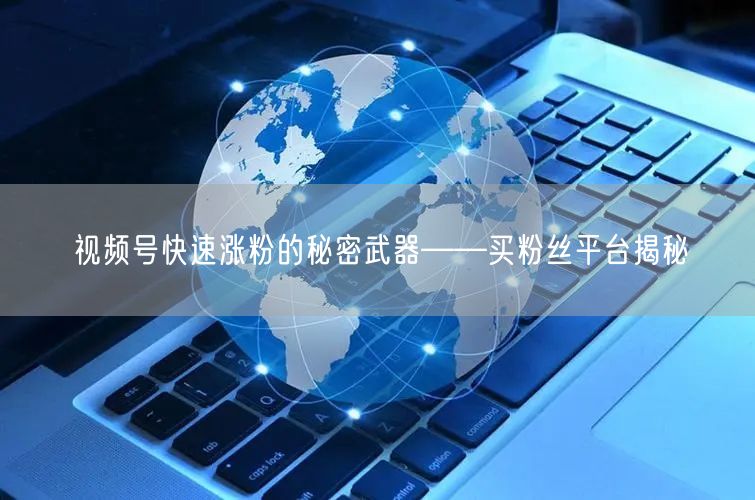 视频号快速涨粉的秘密武器——买粉丝平台揭秘