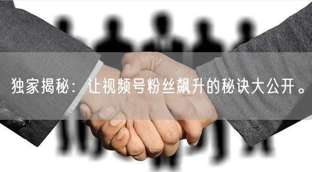 独家揭秘:让视频号粉丝飙升的秘诀大公开。